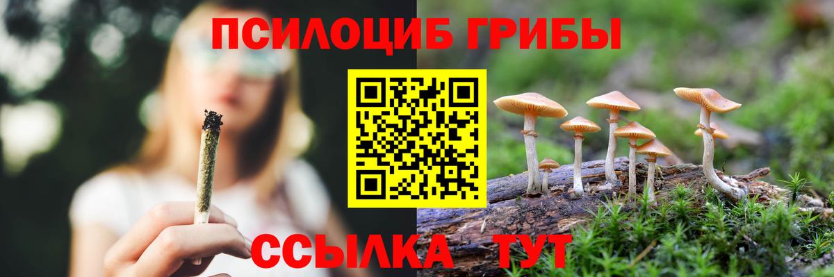 Галлюциногенные грибы Cubensis  Галлюциногенные грибы мухоморы  Вход с VPN  Дмитров 